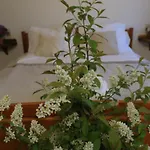 Sikorki *