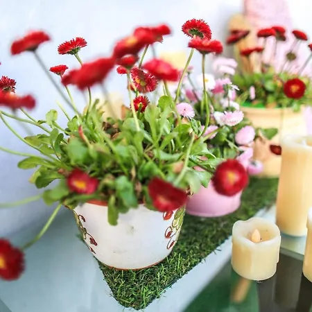 Sikorki Vakantieboerderij Lubomierz (Lower Silesia)