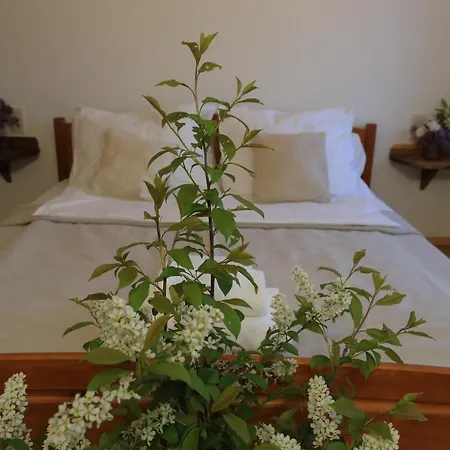 Sikorki Lubomierz (Lower Silesia)