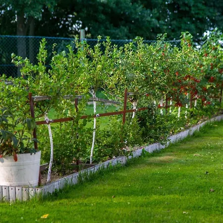 Sikorki Фермерский дом Lubomierz (Lower Silesia)