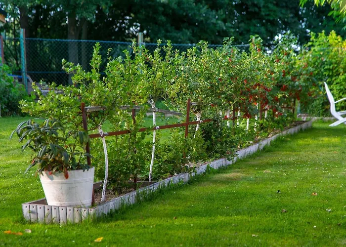 Sikorki Alloggio per agriturismo Lubomierz (Lower Silesia)